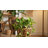 Set of 3 Wood & Bamboo Planters with Stands, Open Weave Design, 26" Tall, Brown Finish - Indoor & Outdoor Decor-419939504