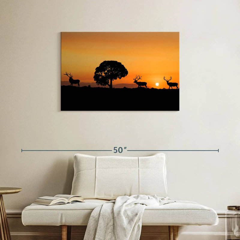 Brampt Elk Sunset