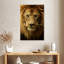 Tête de lion Brampt-108254828