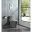 Giancarlo Dual-Flush One-Piece Elongated Toilet-110869731