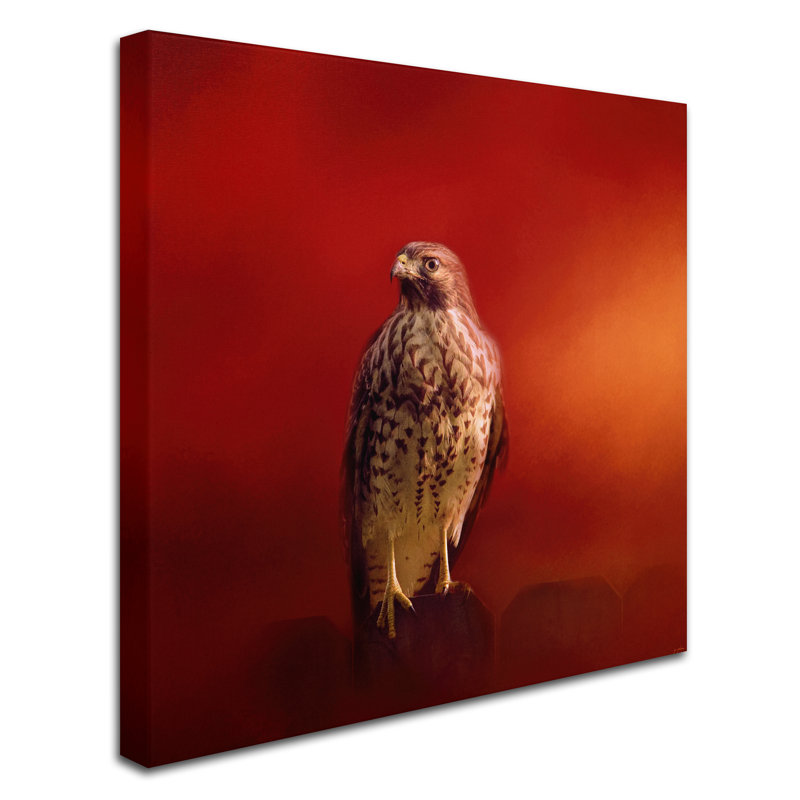 Vidur «Hawk on a Hot Day», impression sur toile tendue, H 35 po x l 35 po
