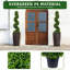 120cm Plant