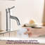 Robinet de salle de bain 1 trou - Moderne, nickel brossé, matériau monté sur le comptoir-126706870