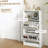 Modern Shoe Storage Cabinet