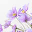 Tige de cascade en soie cosmos-25518699-40020482