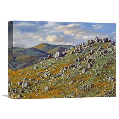 California Poppy Flowers in Rocky Grassland, Canyon Hills, Santa Ana Mountains, California' Photographic Print on Wrapped Canvas -  East Urban Home, 696FE40FE48F479989B6446BBC69501F