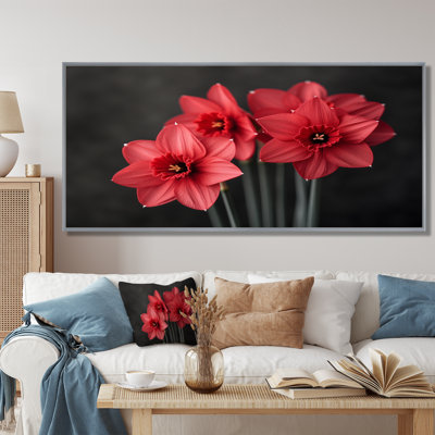 Photo de jonquilles goutte de pluie monochrome noir et rouge - jonquilles murales