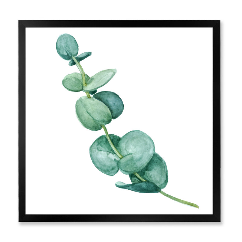 Jeunes feuilles d'eucalyptus et branches II - peinture sur toile, H 16 po x l 16 po x p 1 po, Cadre photo noir