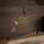 Photos des clients 3 de 4