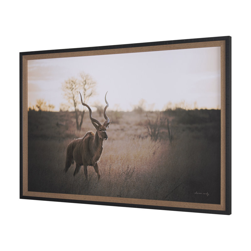 «Kudu Bull» par Sharon Vardy, reproduction d'art encadrée à la main mat sous verre