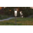 Rutland All - Weather Solar Powered LED Landscaping Lights