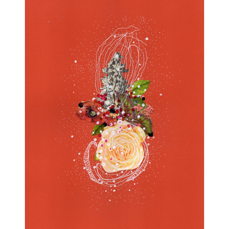 Aurora Nautilus Print by Jenny Brown