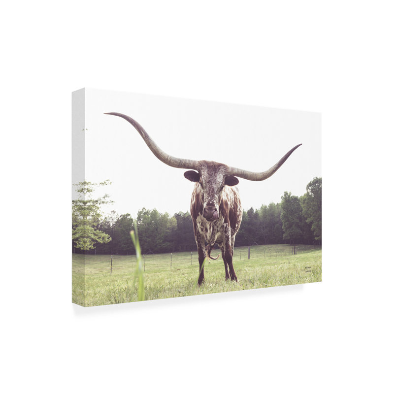 «Rhin Nathan Larson Longhorn Last Call», art mural sur toile, H 12 po x l 19 po