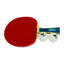 Raquette de 1000 Wakaba