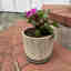 Customer photo 2 of 3