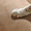 Causeuse-coussin modulaire en polyester kaki-975124695-975124692