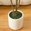 Adcock Artificial Olive Tree in Round Planter, UV Protected Faux Olive Tree for Indoor Home Decor-1353060250