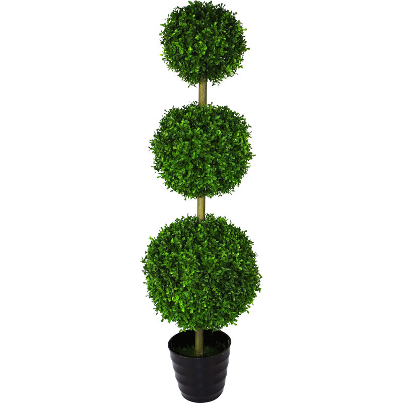 120cm Boxwood Topiary in Pot