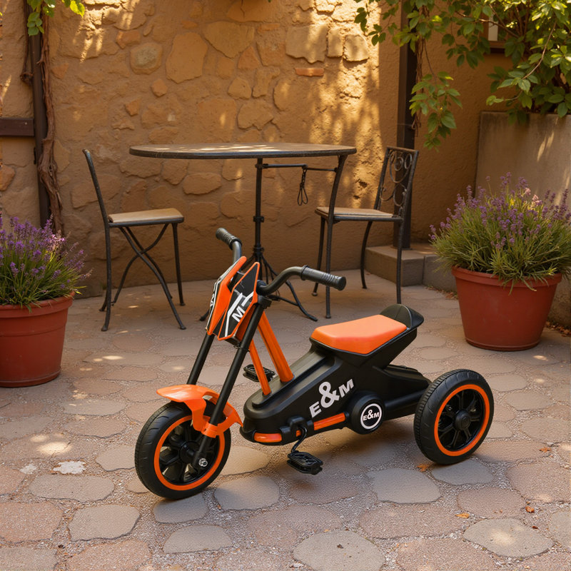 Kids Tricycle