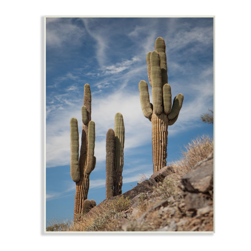 « redésert sentinelle », reproduction de photo, 10 po x 15 po, Plaque