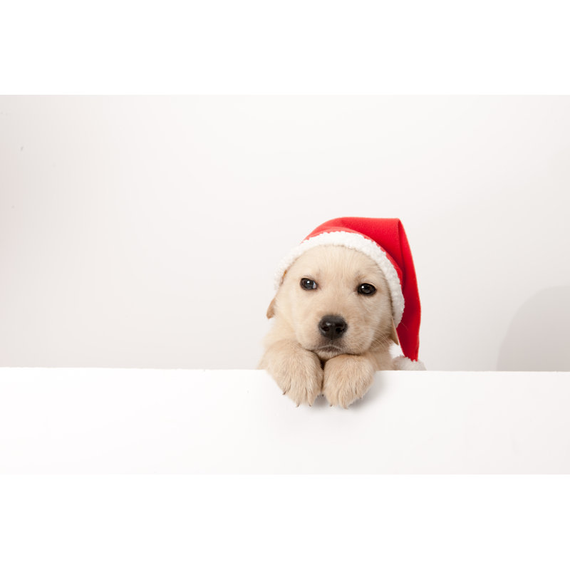 Golden Retriever Santa Puppy 1 Piece Wrapped Canvas Wall Art, 51cm H x 76cm W x 3.8cm D