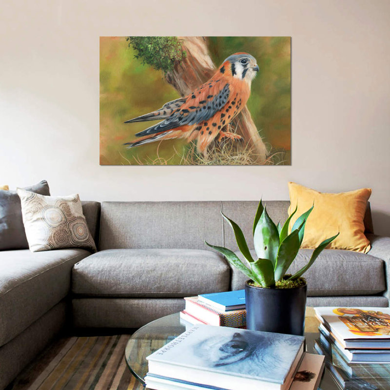 «American Kestrel», impression sur toile, H 12 po x l 18 po x P 1,5 po, Toile tendue, Pas de tapis