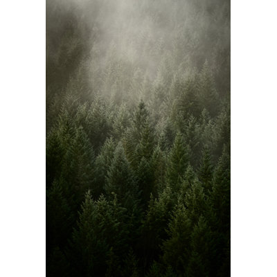 Colline dans la brume matinale par Donald_Gruener