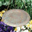 Oakleaf Hanging Birdbath-40470533