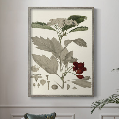 Leaves & Berries I Framed Print - Solid Wood