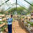 8 ft. W x 14 ft. D Greenhouse for Outdoors, with with Reinforced Quick-Setup Structure and Roof Vent-119164711
