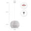 Lantern Pendant Light 1-light Prunedale-418499087-418721984