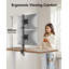 FURNINIXS Desktop Mount