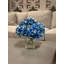 Hydrangea in Blue