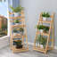 Hinkson Direct Rustic Wooden Foldable Ladder Shelf for Plants-1642421302-1642421303