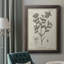 Toile encadrée botanique antique de qualité supérieure noire et blanche - prête à être accrochée-73976082