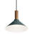 Emblem 1 - Light Single Pendant-74747931-74747934-94655710