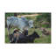 «Zebu Group Zebu Troop Print», art mural-615261030