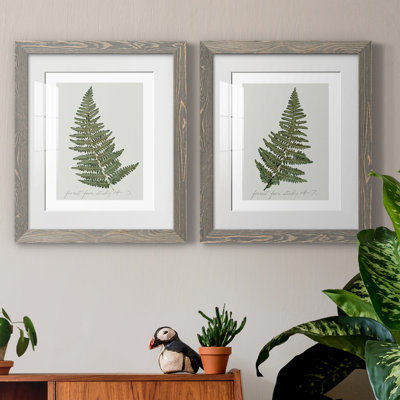" Fern Studies I " 2 - Pieces