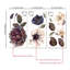 Adhésif décoratif plantes et fleurs à peindre L 31,5 pi x l 47,24 po Franzi
