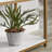 Jonteria Bookcase-1863079629