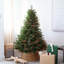 Pre-Lit Artificial Edmonton Fir Light Show Memory Shape Christmas Tree-1134195266