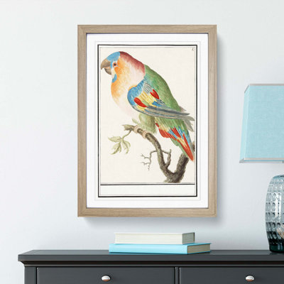 The Parrot by A.B. De Boodt - Picture Frame Painting Print