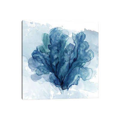 «Coastal Coral II» par Carol Robinson, reproduction d'art sur toile tendue