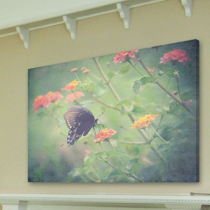 Captivating by Robert Dickinson - Wrapped Canvas Print, 30cm H x 46cm W x 4cm D