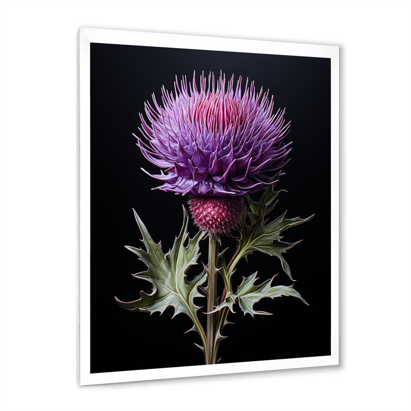Fleurs de chardon noir II - chardon, art mural, Cadre simple blanc, H 32 po x l 16 po x P 1 po