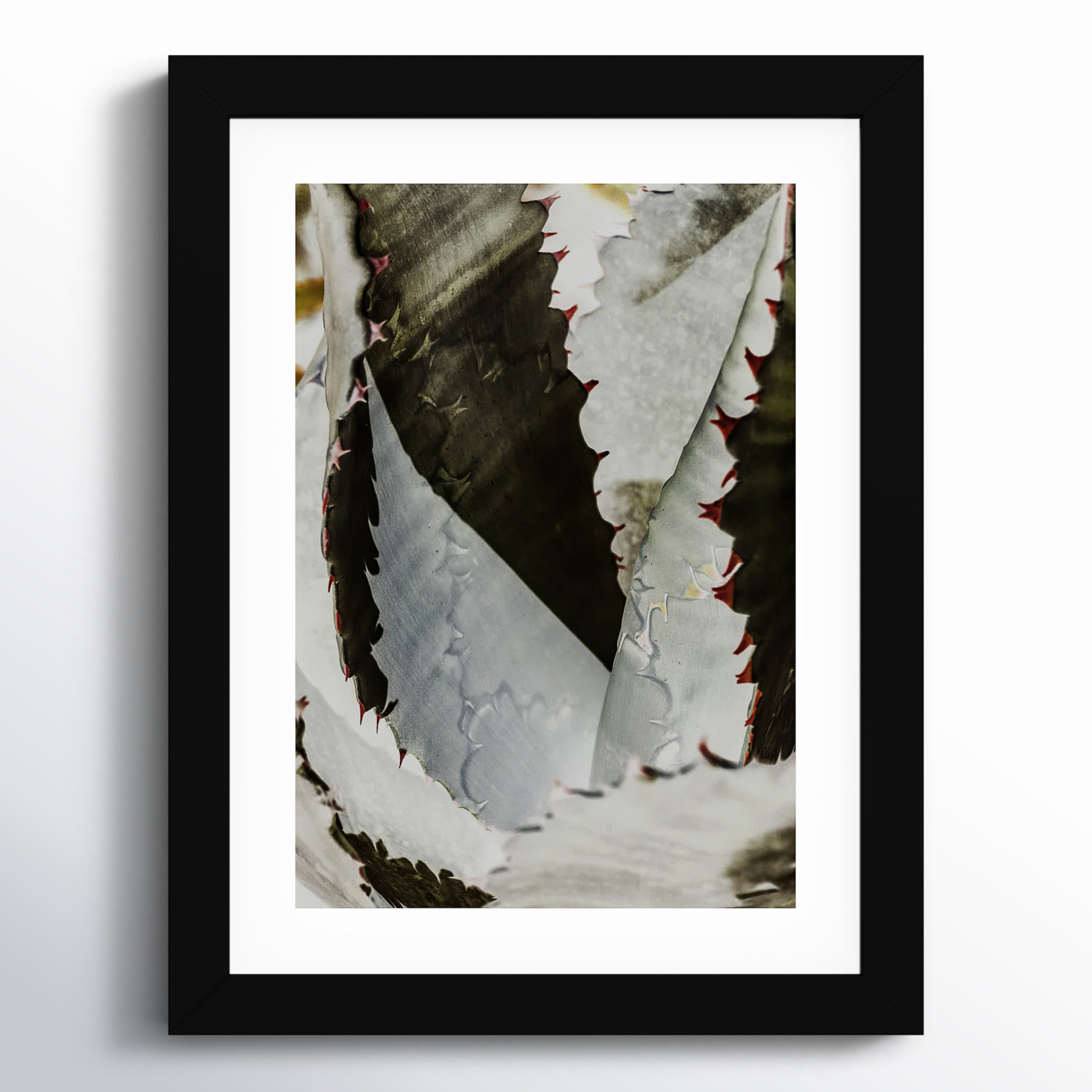 Daisey "Nova" Print by Shot by Clint, Black, 13" H x 10" W