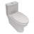Ceramic One-Piece Toilet, Dual Flush With Soft-Closing Seat