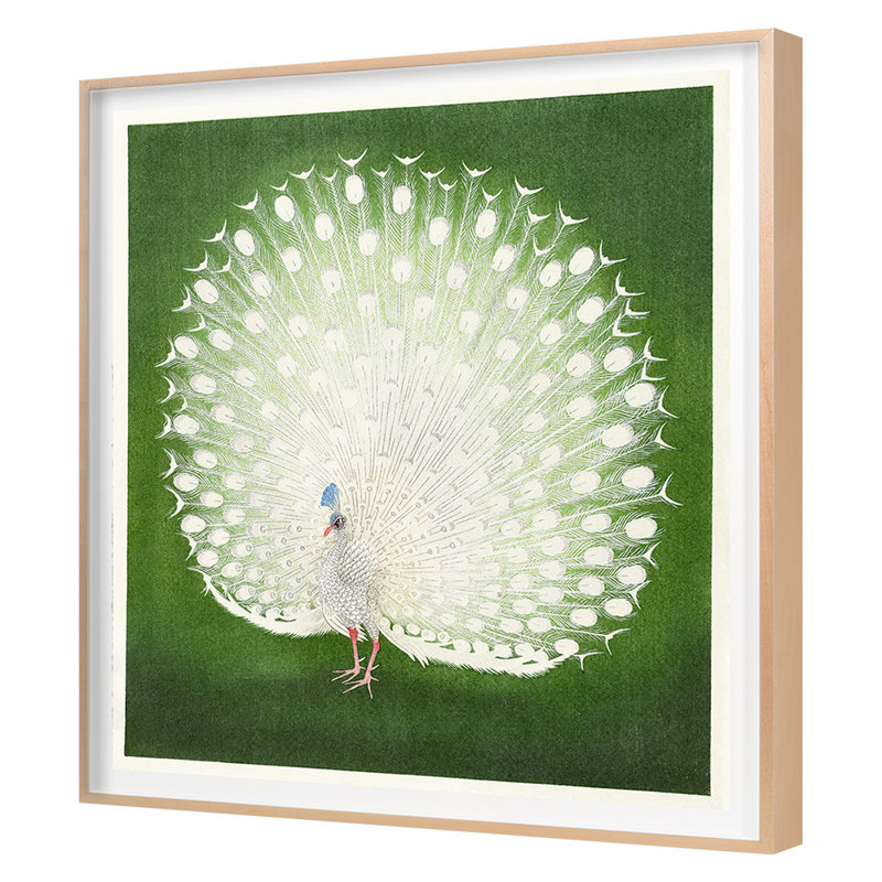 White Peacock Print by Grand Archives, Maple Framed, 45" H x 40" W