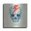«Skull Bolt» par Rachel Caldwell-76752689