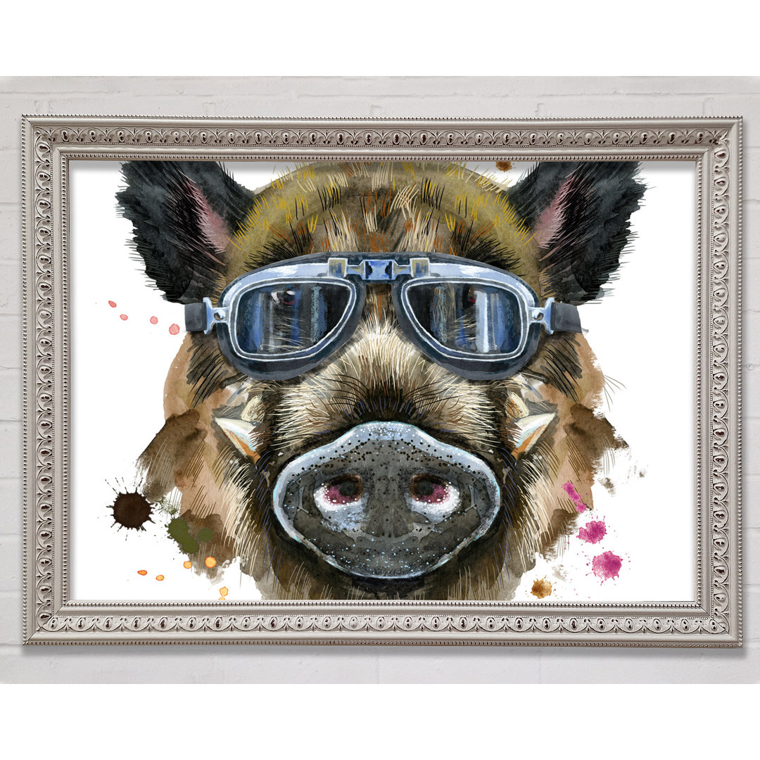 Das Wildschwein mit Brille Gerahmter Druck